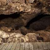 Parliamo della �Grotta della Tartaruga�, un sito presente all�interno di Lama Giotta, lungo �fiume verde� che attraversa il territorio del quartiere Torre a Mare di Bari